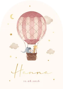 Geboortekaartje meisje luchtballon wolken dieren met boog