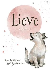 Geboortekaartje meisje wolfje sterretjes maan waterverf