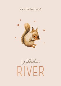 Geboortekaartje minimalistisch eekhoorn herfst hartjes koper