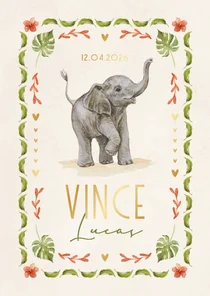 Geboortekaartje olifantje jungle kleurrijk vrolijk kader