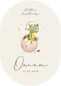 Geboortekaartje pilvorm baby dino t-rex ei schattig
