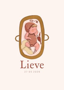 Geboortekaartje reiswiegje roze