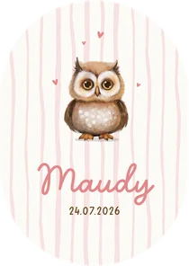 Geboortekaartje schattig uiltje pilvorm gestreept dieren