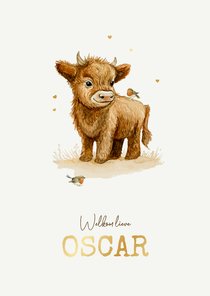 Geboortekaartje schotse hooglander jongen waterverf vogels