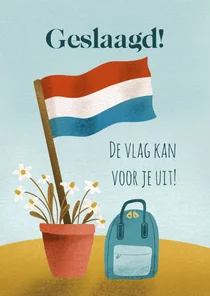 Geslaagd kaart met rugtas en vlag in vrolijke kleuren