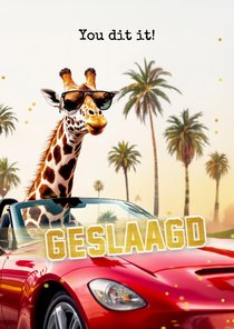Geslaagd kaart rijbewijs giraf auto stoer grappig