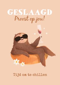 Geslaagd kaart school proost luiaard chillen