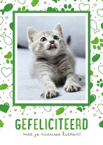 Gezellige felicitiatiekaart voor een kitten met patroon