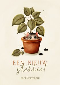 Grappig felicitatiekaartje nieuw stekkie kat in plant 