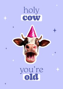 Grappig verjaardagskaartje holy cow you are old