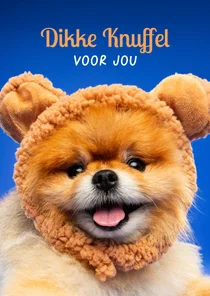 Grappige beterschapskaart dikke knuffel van klein hondje 