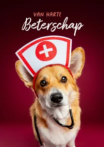 Grappige beterschapskaart van corgi met zuster outfit.