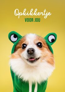 Grappige beterschapskaart van hond in kikkerpakje