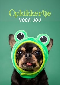 Grappige beterschapskaart van hond met kikkermutsje en tong