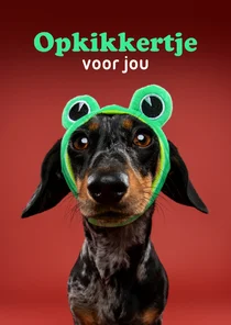 Grappige beterschapskaart van teckel met kikkermutsje