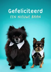 Grappige, felicitatie hondenkaart van hondjes met stropdas