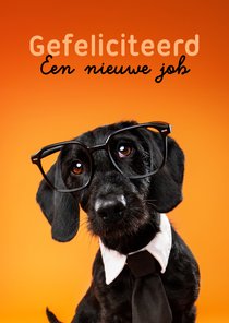 Grappige felicitatiekaart van hond met stropdas en bril
