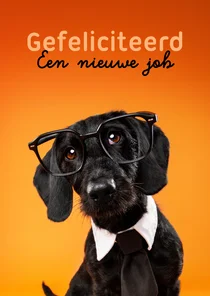 Grappige felicitatiekaart van hond met stropdas en bril