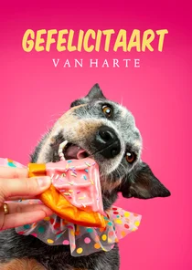 Grappige felicitatiekaart van hond met stukje cake