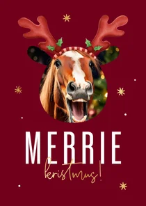 Grappige foto kerstkaart 'Merrie kristmus!' gouden sterren