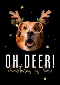 Grappige foto kerstkaart Oh deer! met gouden sterren