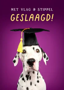 Grappige geslaagd kaart van dalmatiër met geslaagd hoedje