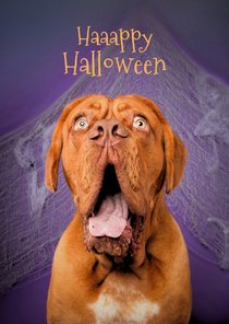 Grappige halloween kaart van hond met open bek