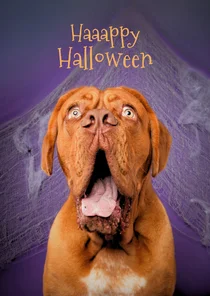 Grappige halloween kaart van hond met open bek