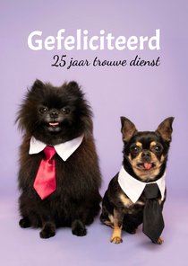 Grappige jubileumkaart van hondjes met stropdas