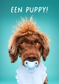 Grappige kaart voor het welkom heten van een puppy reutje