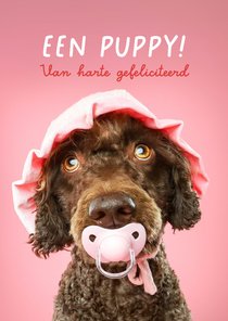 Grappige kaart voor het welkom heten van een puppy teefje