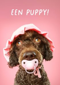 Grappige kaart voor het welkom heten van een puppy teefje