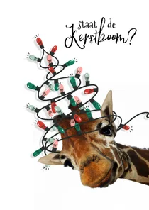Grappige kerstkaart giraf met kerstboom van lampjes