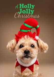 Grappige kerstkaart holly jolly christmas met boomer