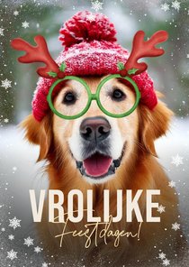 Grappige kerstkaart hond met bril en gewei