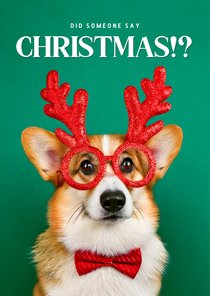 Grappige kerstkaart met corgi did someone say christmas