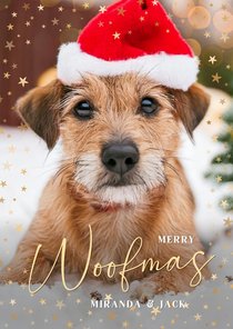 Grappige kerstkaart met foto van je eigen hond 'woofmas'