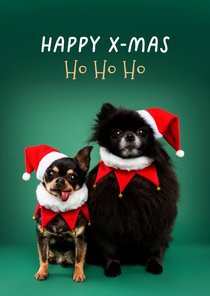 Grappige kerstkaart van hondjes met kerstmuts op