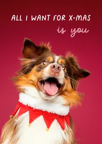 Grappige kerstkaart van vrolijk springende hond