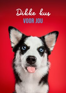 Grappige liefdeskaart hond met tong en kusjes op vacht