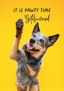 Grappige, lieve felicitatiekaart kaart van hond met high 5