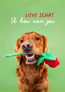 Grappige lieve hondenkaart van hond met roos in bek