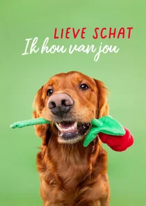 Grappige lieve hondenkaart van hond met roos in bek
