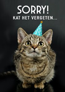 Grappige te laat verjaardagskaart sorry met kat