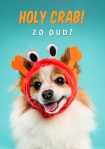 Grappige verjaardagskaart 'holy crab zo oud' hond als krab 