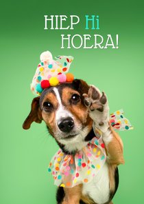 Grappige verjaardagskaart hondje feestmuts en pootje