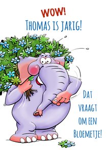 Grappige verjaardagskaart olifant met bosje bloemen.