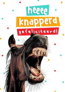 Grappige verjaardagskaart paard gefeliciteerd knapperd