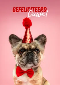 Grappige verjaardagskaart van franse bulldog met feestmuts