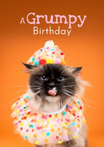Grappige verjaardagskaart van grumpy kat met feestkleding